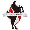 山形山神 熊本深红